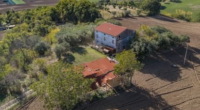 Terreno agricolo di 100.000 m² in Corridonia (62014)