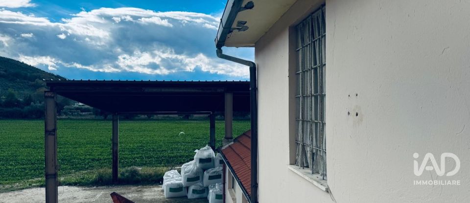 Rifugio 10 locali di 400 m² in Controguerra (64010)