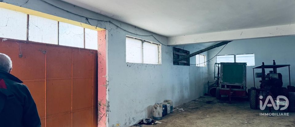 Rifugio 10 locali di 400 m² in Controguerra (64010)