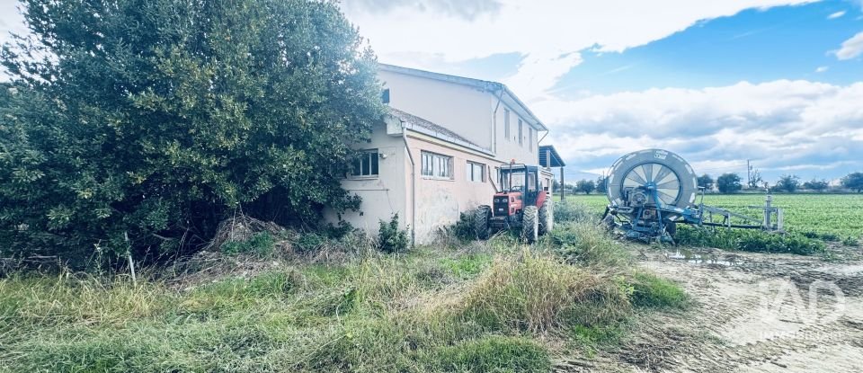 Rifugio 10 locali di 400 m² in Controguerra (64010)