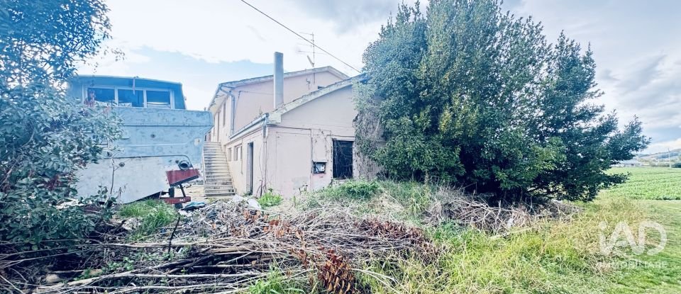 Rifugio 10 locali di 400 m² in Controguerra (64010)