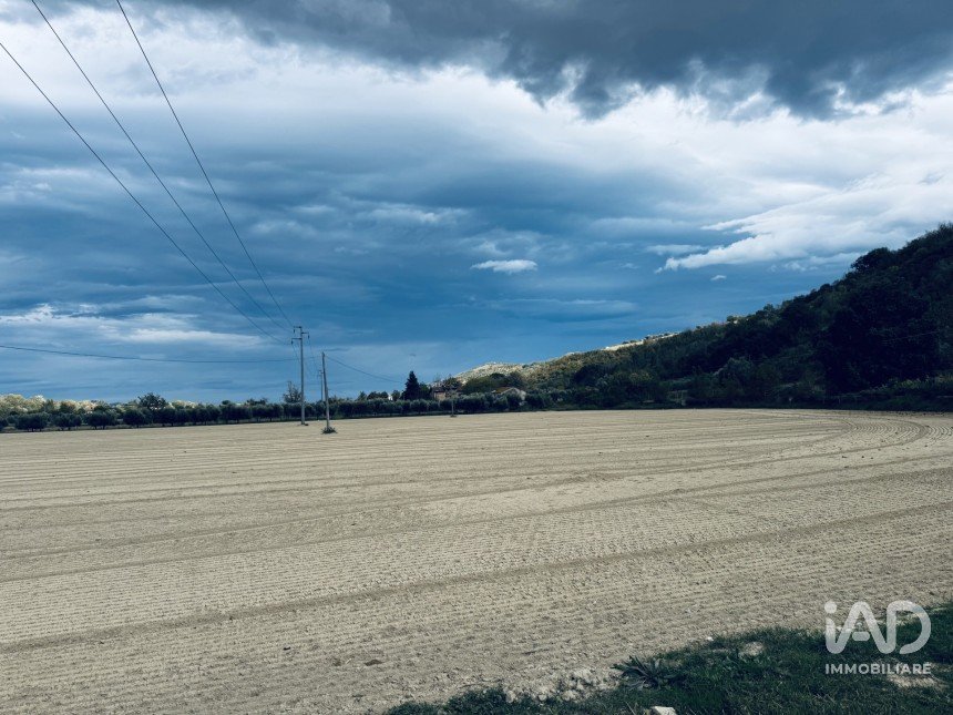 Terreno agricolo di 110.000 m² in Controguerra (64010)