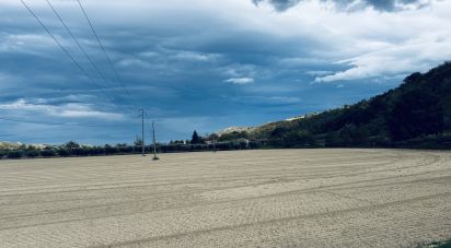 Terreno agricolo di 110.000 m² in Controguerra (64010)