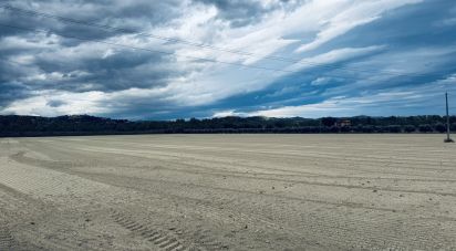 Terreno agricolo di 110.000 m² in Controguerra (64010)
