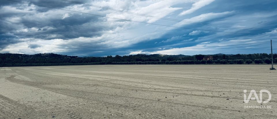 Terreno agricolo di 110.000 m² in Controguerra (64010)