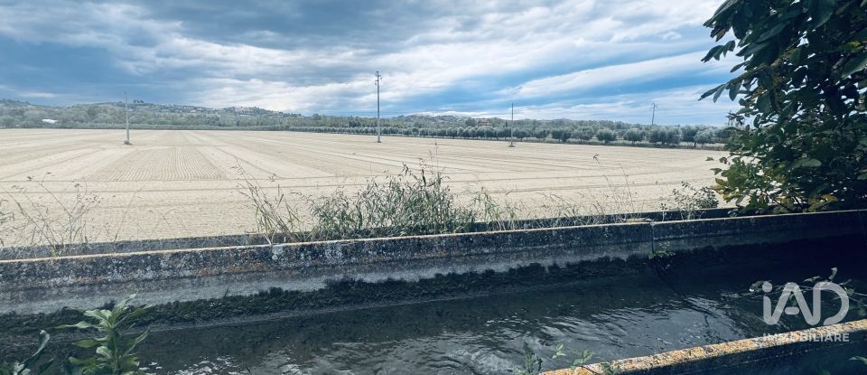 Terreno agricolo di 110.000 m² in Controguerra (64010)