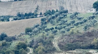 Terreno agricolo di 110.000 m² in Controguerra (64010)