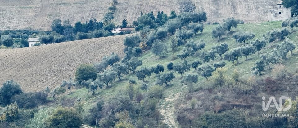 Terreno agricolo di 110.000 m² in Controguerra (64010)