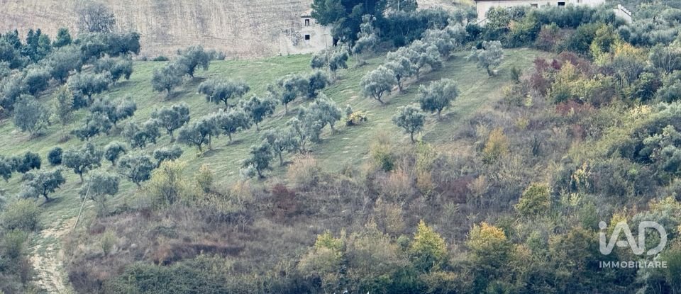 Terreno agricolo di 110.000 m² in Controguerra (64010)