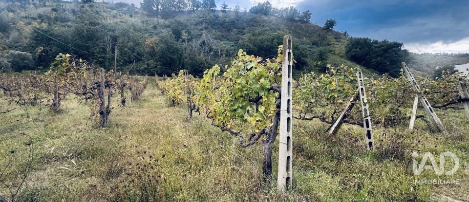 Terreno agricolo di 110.000 m² in Controguerra (64010)