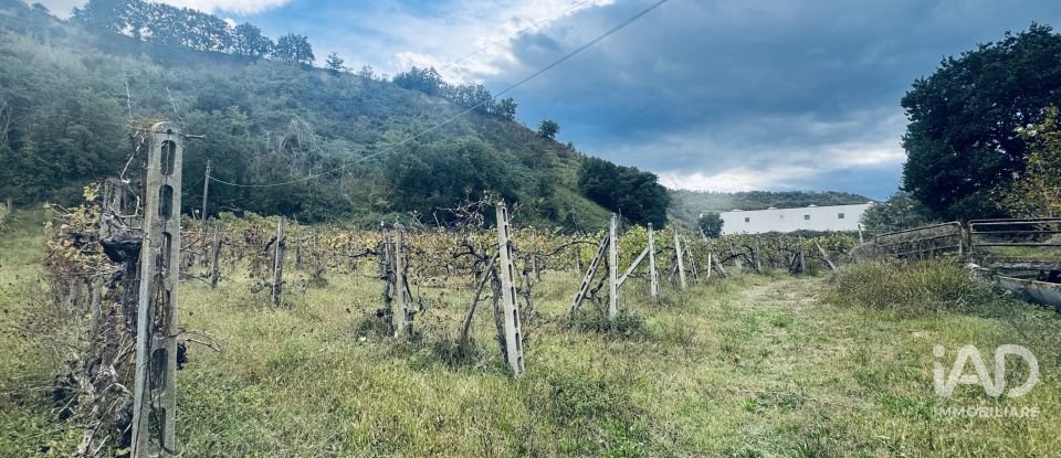 Terreno agricolo di 110.000 m² in Controguerra (64010)