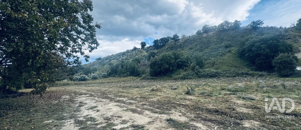 Terreno agricolo di 110.000 m² in Controguerra (64010)