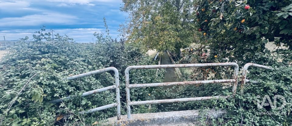 Terreno agricolo di 110.000 m² in Controguerra (64010)