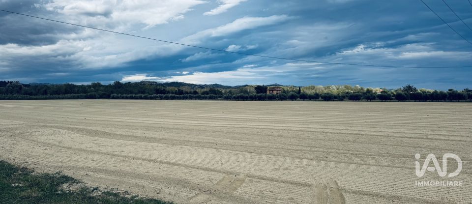 Terreno agricolo di 110.000 m² in Controguerra (64010)