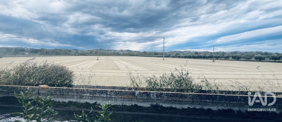 Terreno agricolo di 110.000 m² in Controguerra (64010)