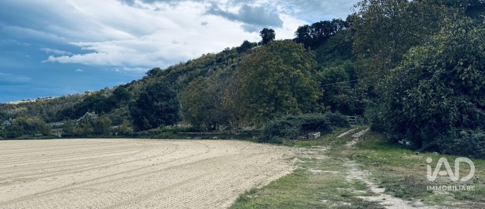 Terreno agricolo di 110.000 m² in Controguerra (64010)