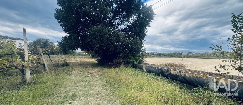 Terreno agricolo di 110.000 m² in Controguerra (64010)