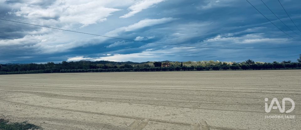 Terreno agricolo di 110.000 m² in Controguerra (64010)