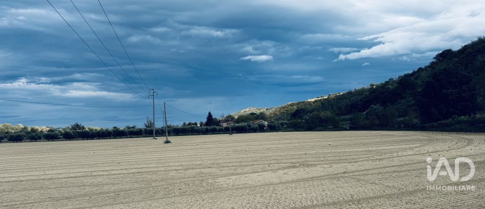 Terreno agricolo di 110.000 m² in Controguerra (64010)