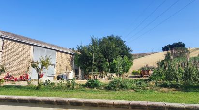 Terreno di 46.000 m² in Pineto (64025)