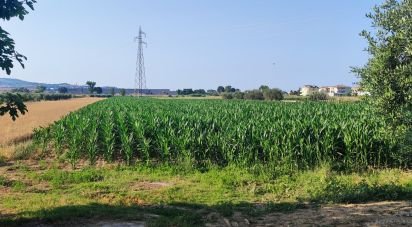 Terreno di 46.000 m² in Pineto (64025)