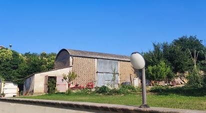 Terreno di 46.000 m² in Pineto (64025)