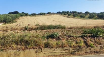 Terreno di 46.000 m² in Pineto (64025)
