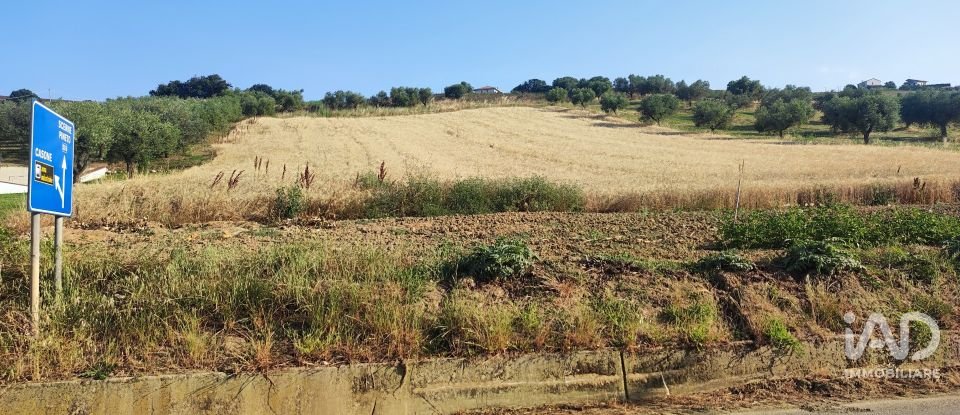 Land of 46,000 m² in Pineto (64025)