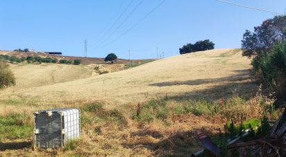 Terreno di 46.000 m² in Pineto (64025)