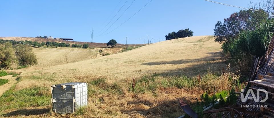 Land of 46,000 m² in Pineto (64025)