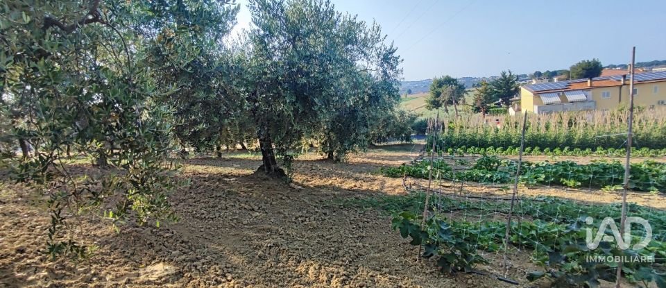 Land of 46,000 m² in Pineto (64025)