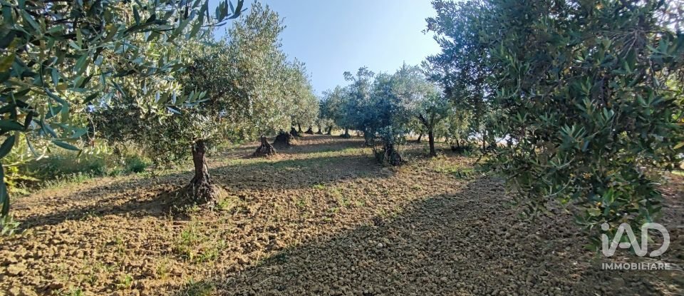 Land of 46,000 m² in Pineto (64025)