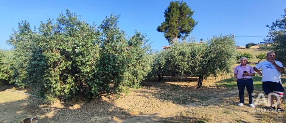 Land of 46,000 m² in Pineto (64025)