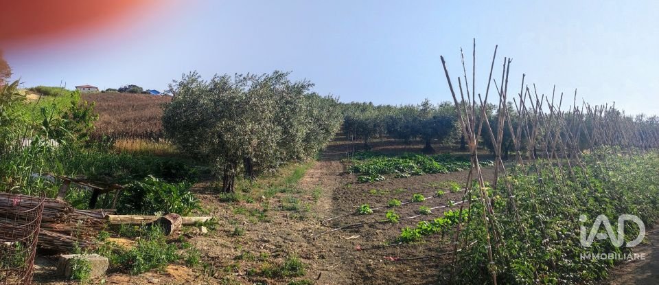 Land of 46,000 m² in Pineto (64025)