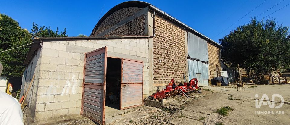 Land of 46,000 m² in Pineto (64025)