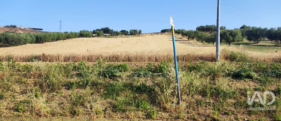 Land of 46,000 m² in Pineto (64025)