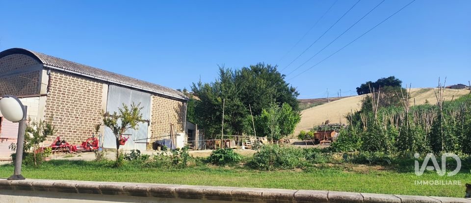 Land of 46,000 m² in Pineto (64025)