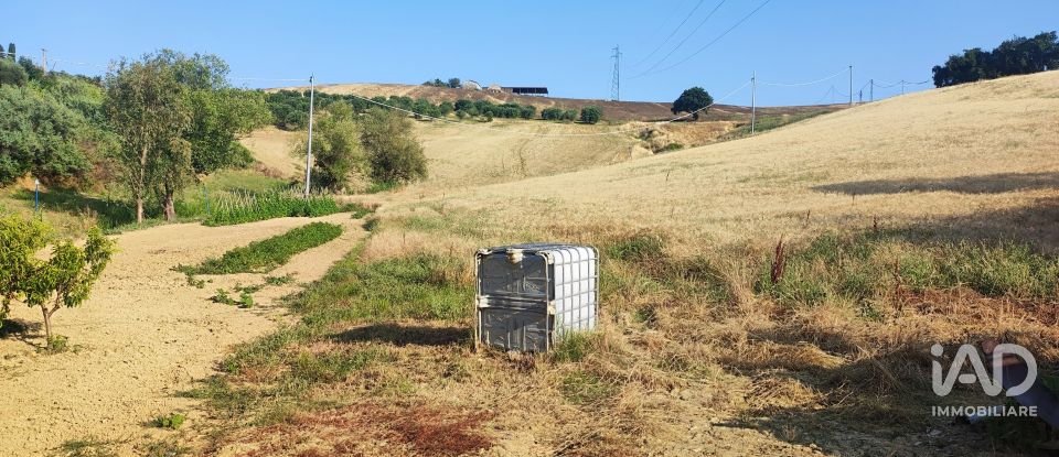 Land of 46,000 m² in Pineto (64025)