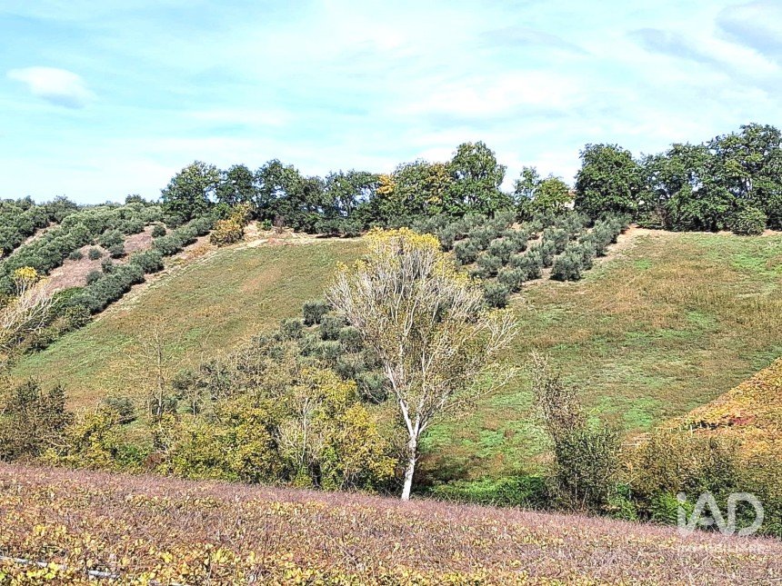 Terreno di 1.810 m² in Francavilla al Mare (66023)