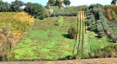 Terreno di 1.810 m² in Francavilla al Mare (66023)