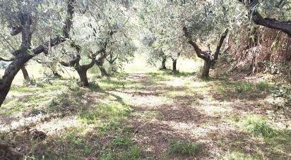 Terreno di 1.810 m² in Francavilla al Mare (66023)