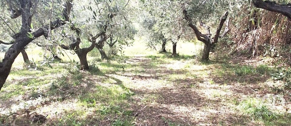 Terreno di 1.810 m² in Francavilla al Mare (66023)