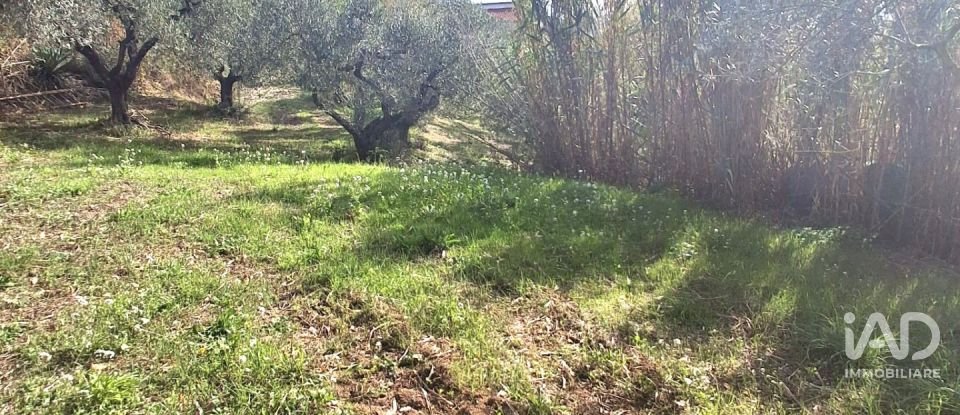 Terreno di 1.810 m² in Francavilla al Mare (66023)