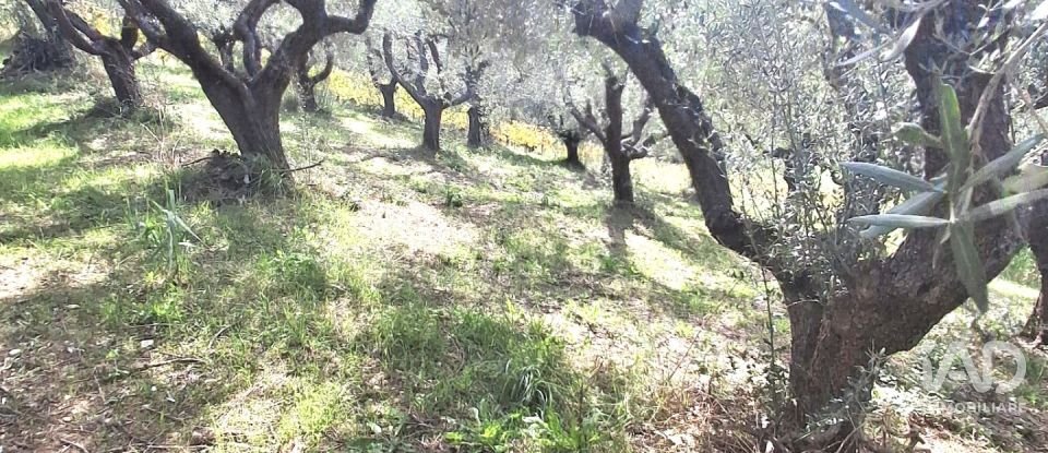 Terreno di 1.810 m² in Francavilla al Mare (66023)