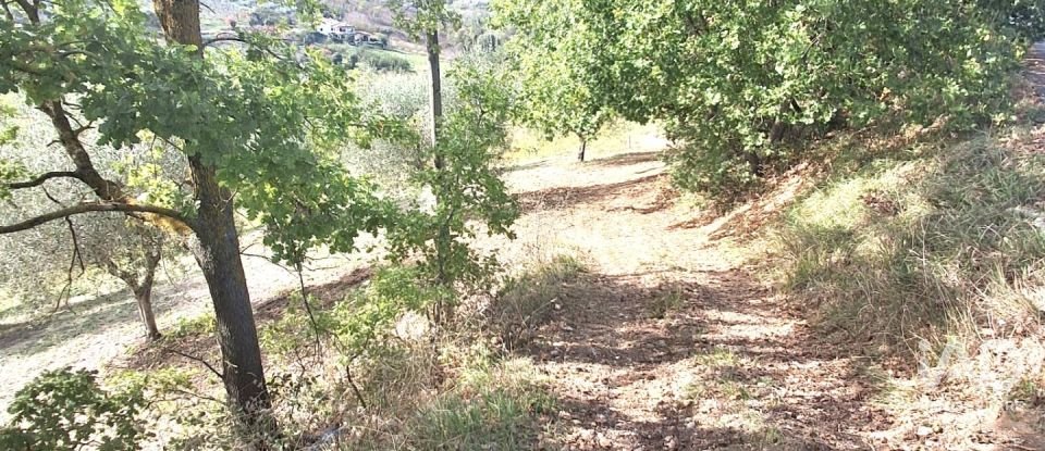 Terreno di 1.810 m² in Francavilla al Mare (66023)