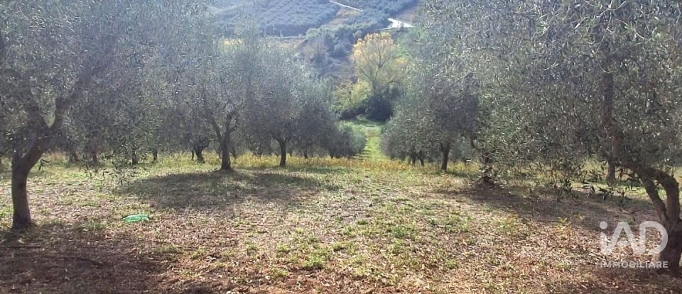 Terreno di 1.810 m² in Francavilla al Mare (66023)