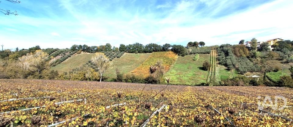 Terreno di 1.810 m² in Francavilla al Mare (66023)