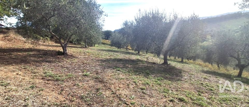 Terreno di 1.810 m² in Francavilla al Mare (66023)