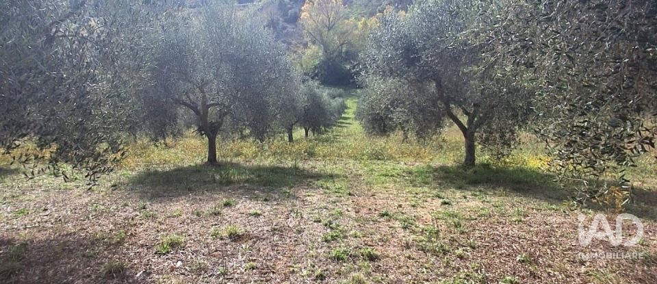 Terreno di 1.810 m² in Francavilla al Mare (66023)