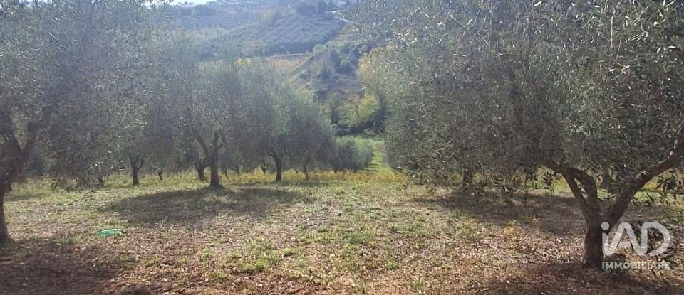 Terreno di 1.810 m² in Francavilla al Mare (66023)